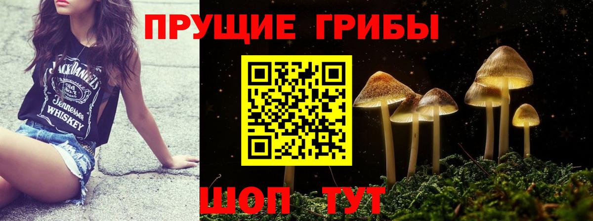 Избербаш  Псилоцибиновые грибы Magic Shrooms  Вход с VPN 